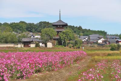 古都奈良の世界遺産巡り(5)