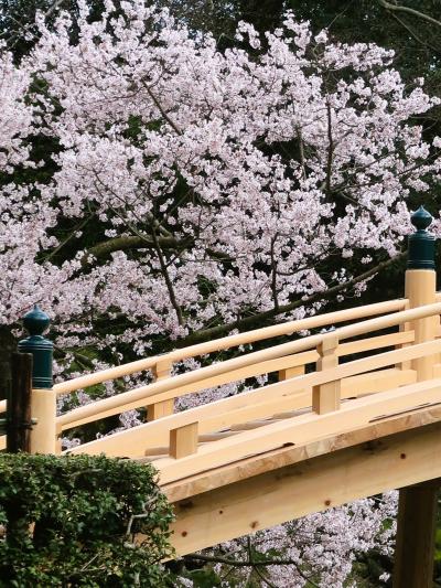 高松-5　栗林公園ｂ　南湖周遊　和船で名所めぐり-30分　☆偃月橋～杜鵑嶼～楓岸