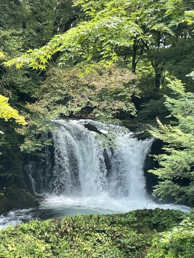 富士山観光センター・鐘山の滝・シャインマスカット狩り　バスツアー