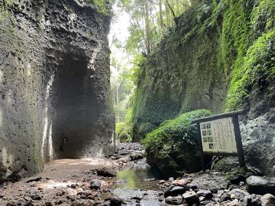 2023年09月　高知旅行１　伊尾木洞