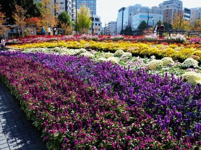 2022年11月5日 熊本市内観光①（サクラマチクマモト～サンロード新市街～下通）