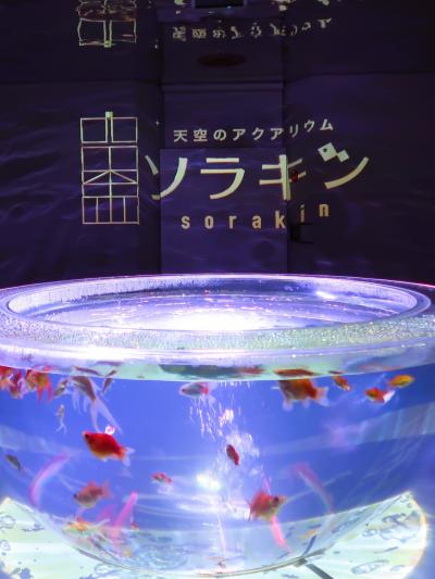 宇多津-4　ソラキンa　天空の煌めき-Aquarium‐金魚　☆ゴールドタワー5Fで