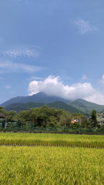 油屋熊八翁を訪ねて２