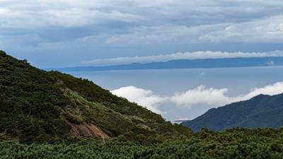 飛んでクルーズ北海道・羅臼