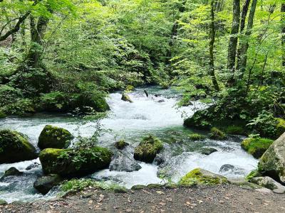 ここは天国？ 奥入瀬渓流散策日帰り 女ひとり旅