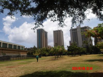 ｛ハワイ｝ フォートデロッシー公園（Fort DeRussyビーチの反対側公園） Hilton