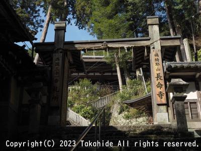 西国三十三所徒歩巡礼(彦根→[第31番]長命寺→近江八幡駅)