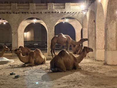 イギリス・フランス家族旅行 旅の最後はドーハでトランジットツアー