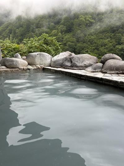 関温泉　休暇村妙高　八方温泉　白馬東急ホテル　燕温泉　花文！新潟編