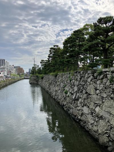 徳島城　100名城　87城目