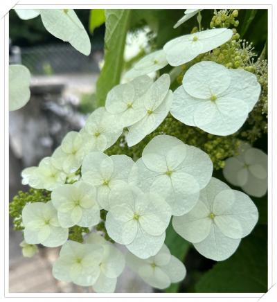 線路は続く…23’夏欧州  No.6 初めましてのスイス　チューリッヒ &amp; ベルン