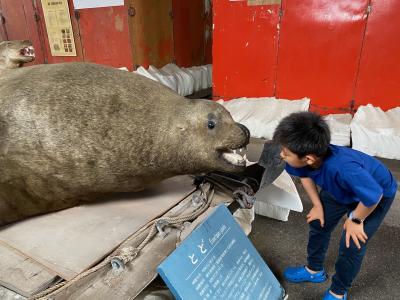 エゾヒグマの真実を探れ！北海道キャンピングカー旅行（1年ぶり2回目）その4