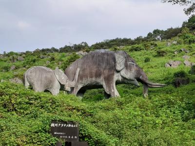 佐川ナウマンカルスト