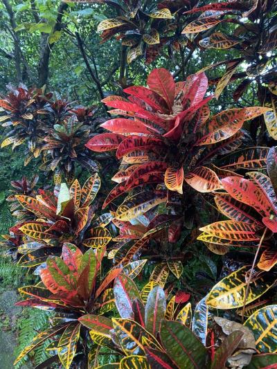 4泊5日の6都市周遊の旅③