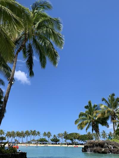 2023年夏休み　ハワイ旅行　8～9日目