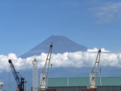 静岡グルメ満喫ツアー！