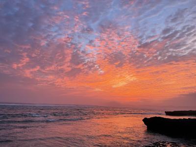 真夏の黒島 夏旅2023-4