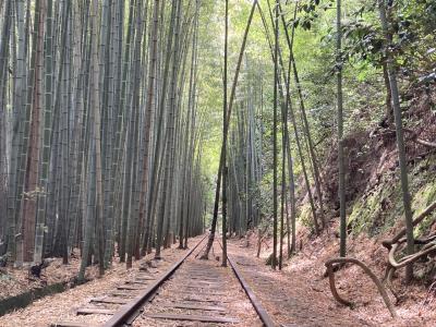  鳥取に帰ることを帰鳥というんだってね／その２／日本一美しい廃線跡といわれる、竹林に囲まれて幻想的な国鉄倉吉線廃線跡をぶらぶら