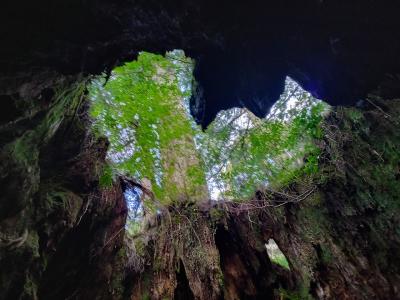 歩けるうちに！屋久島！(2日目)