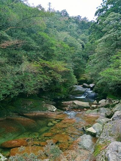 歩けるうちに！屋久島！(3日目、４日目)