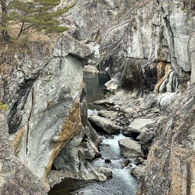 犬連れで鬼怒川温泉から龍王峡へ