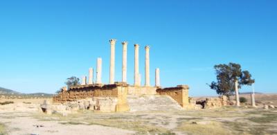 チュニジア大周遊9日目 11/24日(木) ① チュニス滞在