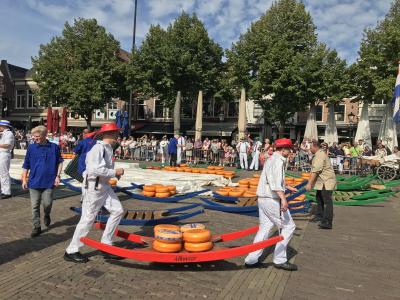 酪農家族のオランダ紀行、アルクマールのチーズ市（１、２日目）