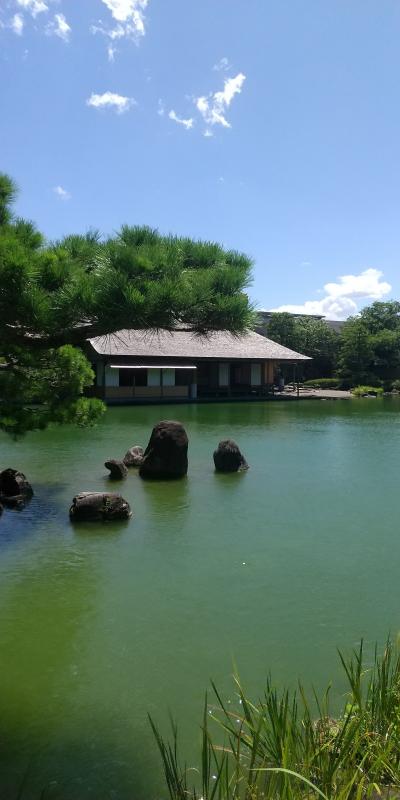 23 福井旅行 福井市