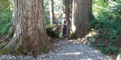 23お盆旅行 岐阜 ひるがの