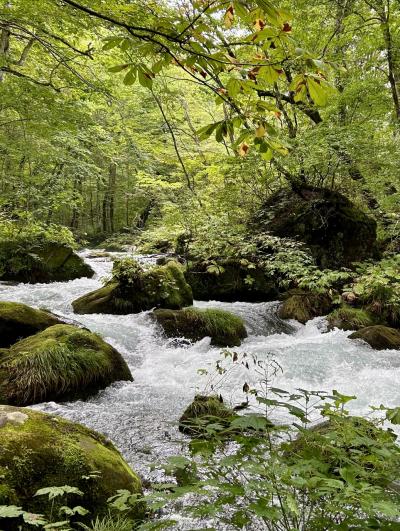 東北を歩くひとり旅　山寺、蔵王三山と御釜、奥入瀬渓流、蔦温泉(3日目)