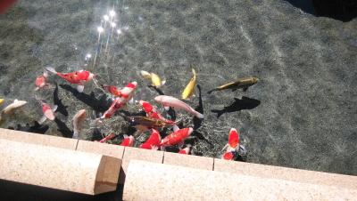 山梨のお買い物ツアー