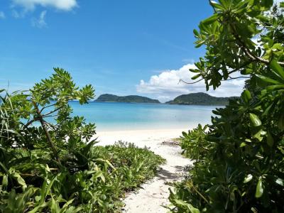 【島旅2023夏 8】船でしか行けない“陸の孤島” 船浮へ…とてつもなく美しいビーチが待っていました