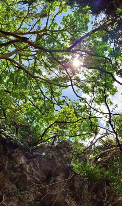 [最終日]超久しぶり 夏の沖縄　2023年8月。