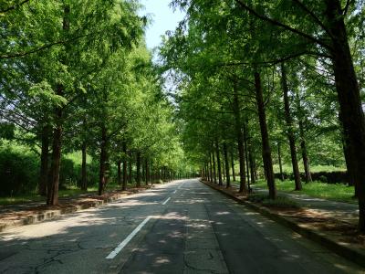 金沢 真夏の緑に浸る旅