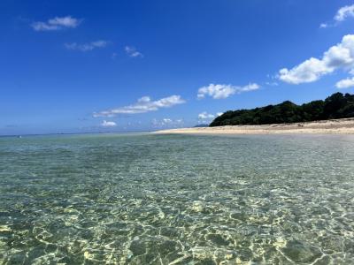 石垣島で泳ぐ旅