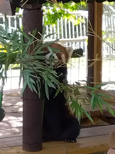 釧路市の動物園へ