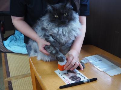 福島・山形へドライブ、「芦ノ牧温泉駅」で働く猫や「羽前小松駅」のねこ駅長に会ってきました