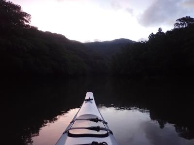 梅雨明け八重山ひとり旅 ｰ 早朝サガリバナ編 ｰ