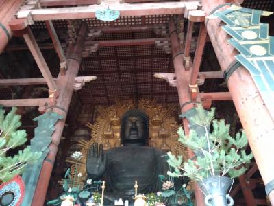 数十年ぶりの奈良旅