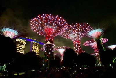 香港～シンガポール～香港2023.8月③キャセイパシフィック航空でシンガポールへ/ガーデンラプソディー/真夜中の推し活！