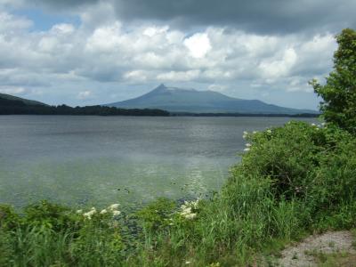 夏の函館と大沼も暑かったの巻