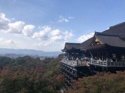 2022年11月　2泊3日の京都旅行～