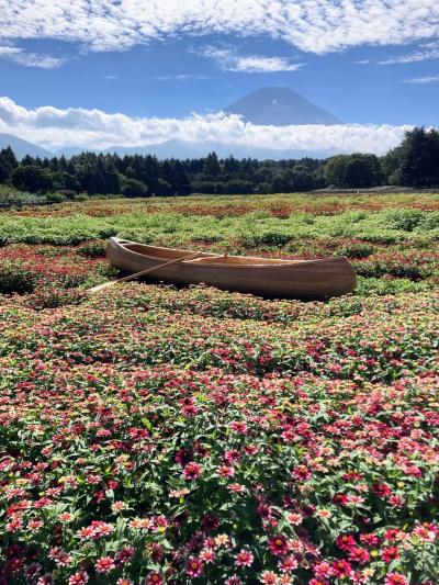 虹の花まつり