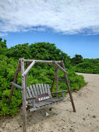 【やえやま離島巡りの旅②】小浜島とカヤマ島へ☆うさぎとヤギと海と空♪