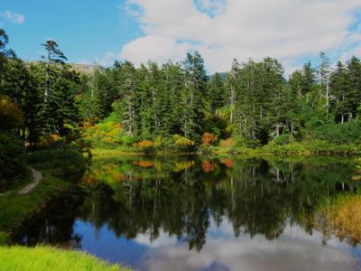 大雪山紅葉&#127809;ハイキングの旅　2日目：大雪高原温泉の沼めぐり ⇒ 層雲峡 銀河・流星の滝　2023/9/24