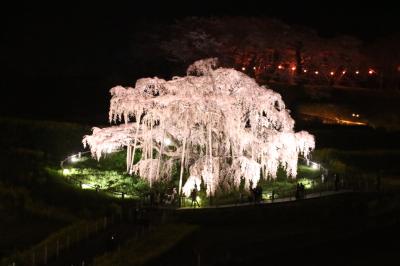 【桜を求めて】週末パスで行く春の茨城・福島県１泊2日の旅