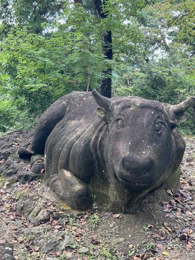 牛伏山自然公園からパワーセンターうおかつまで