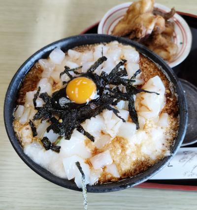 イカ丼が食べたいな。そうだ北陸へ！若狭湾～三方五湖～敦賀を巡る旅（2日目）。