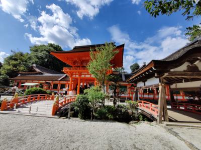 不良夫婦 京都 宝ヶ池にて③ 賀茂別雷神社