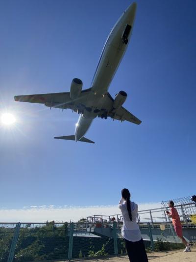 今年２度目の伊丹空港　千里川土手